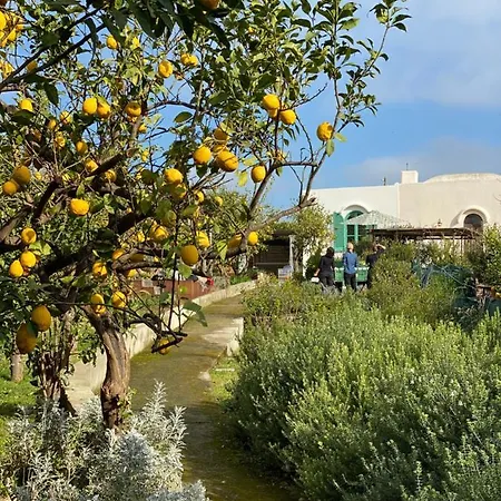 ヴィラ Marina Grande カプリ