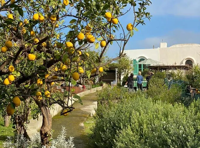 Villa Marina Grande Capri